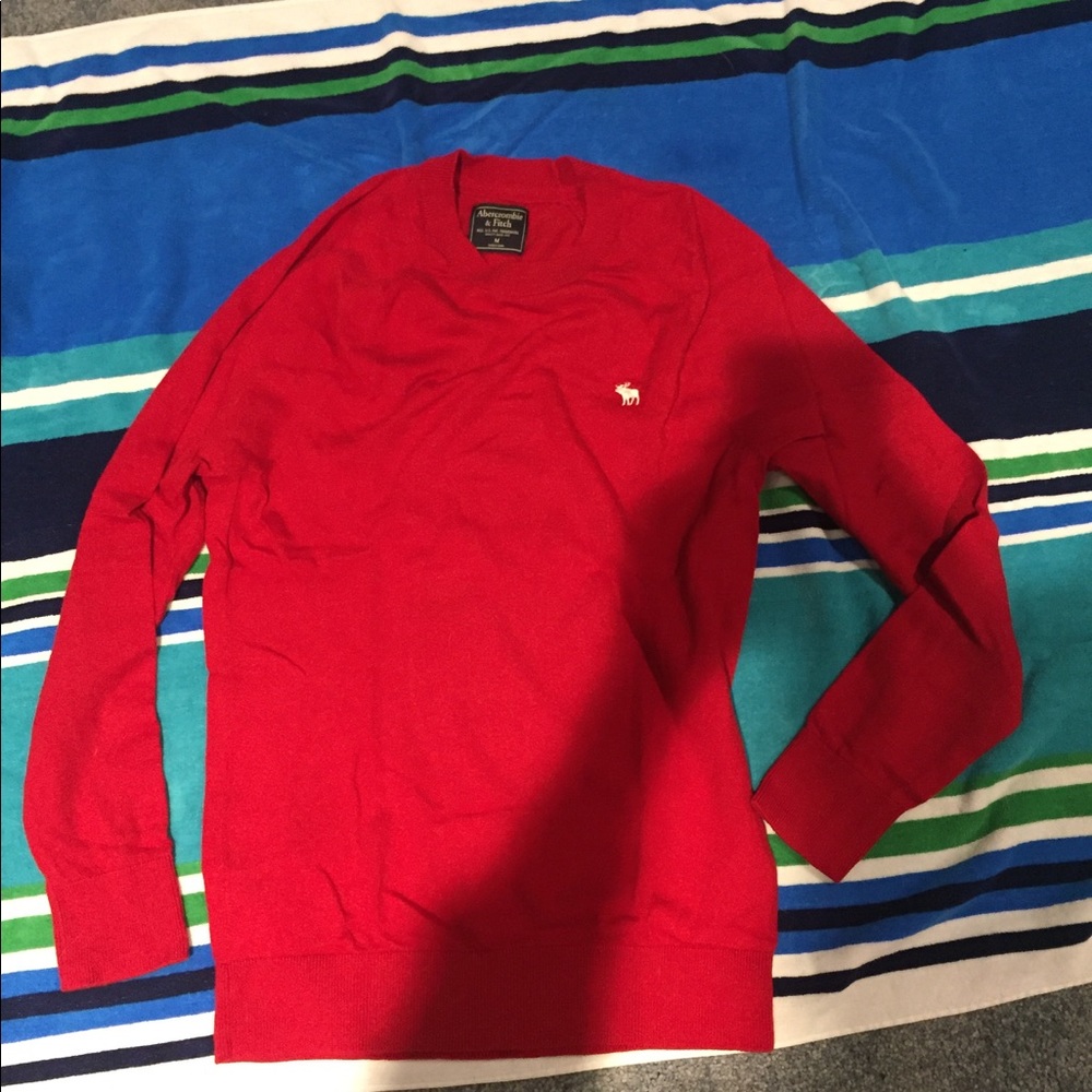 Abercrombie and Fitch Sweater