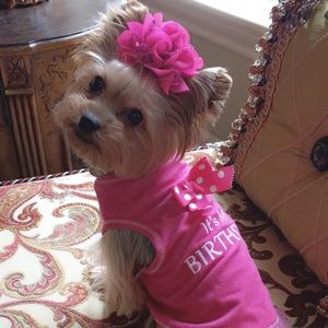 Meet your Posher, Erika