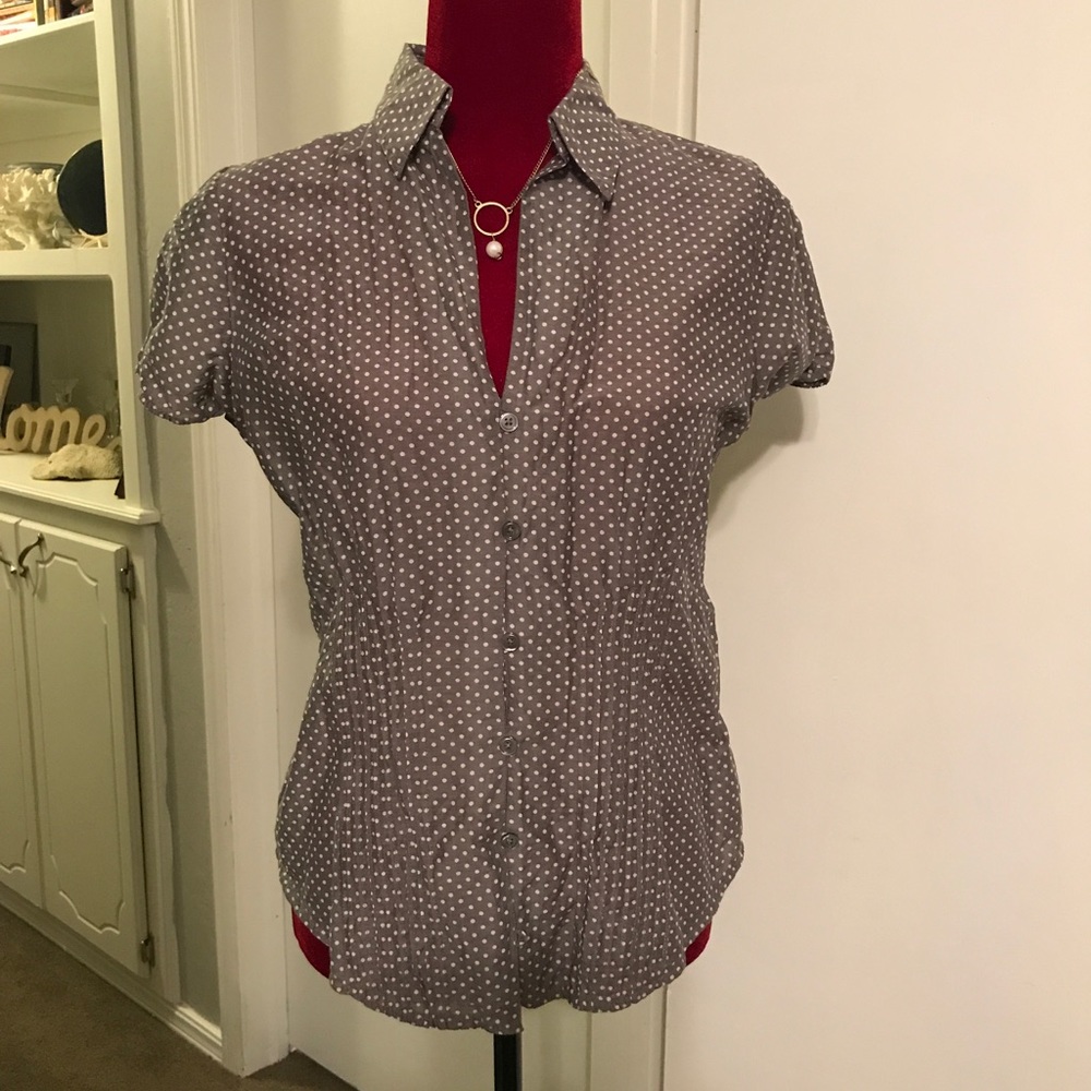 The Limited, Polkadot, Cotton and Silk, Blouse