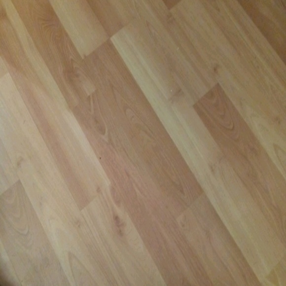 Meet your Posher, Archie - Picture 1 of 1