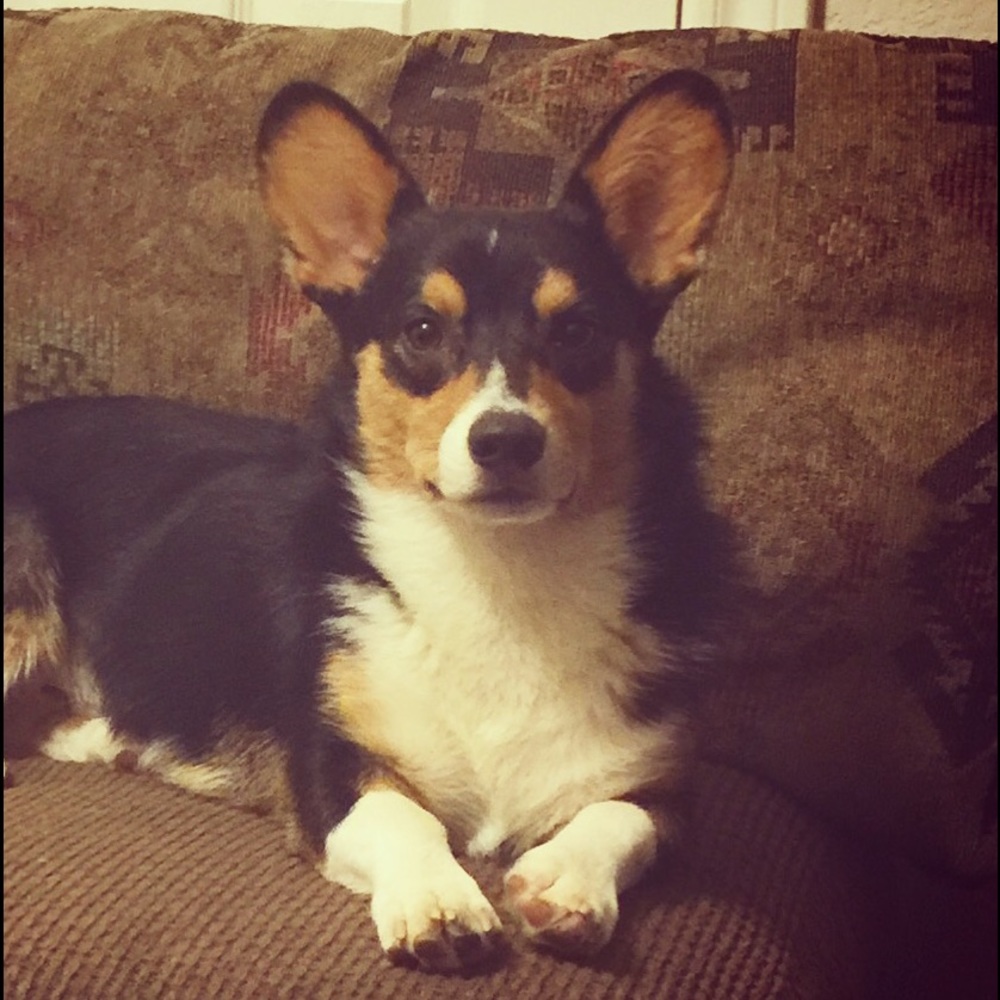 Meet your Posher, Catherine