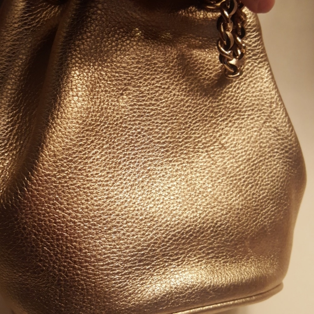 SOLD.  Michael Kors Gold Frankie Crossbody - Picture 8 of 8