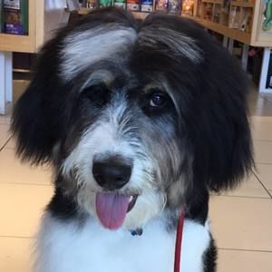 Meet your Posher, Nina