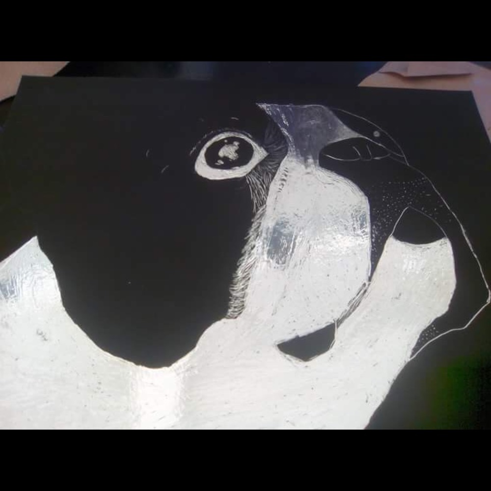 Meet your Posher, Kelly