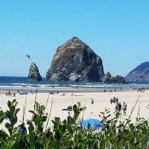 Meet your Posher, Debi