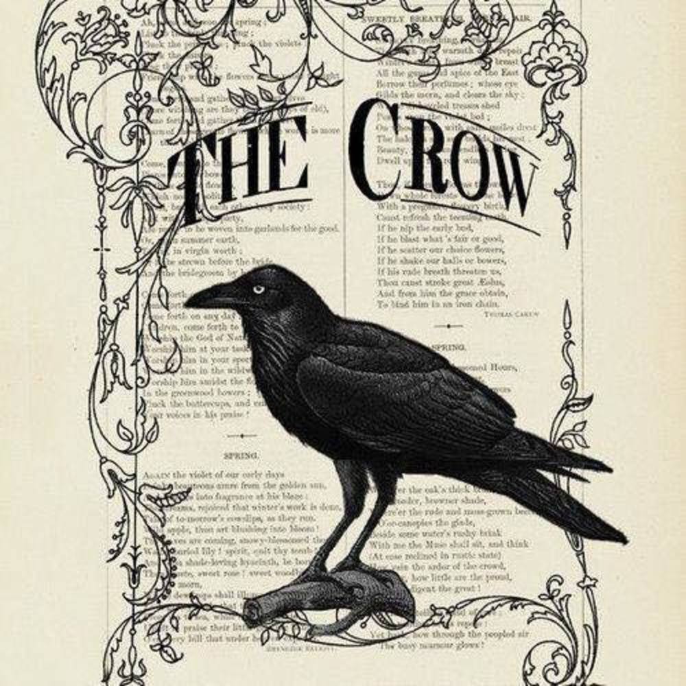 Meet your Posher, Barb