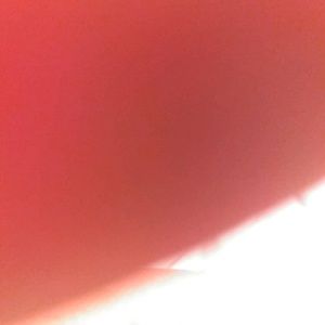 Meet your Posher, Bryce