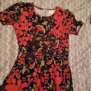 Large Lularoe Amelia Dress