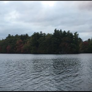 Meet your Posher, Patrick