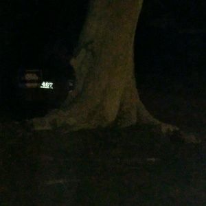 Meet your Posher, Mitchell