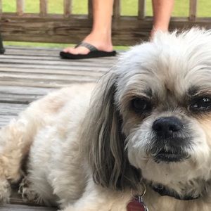 Meet your Posher, Blakely