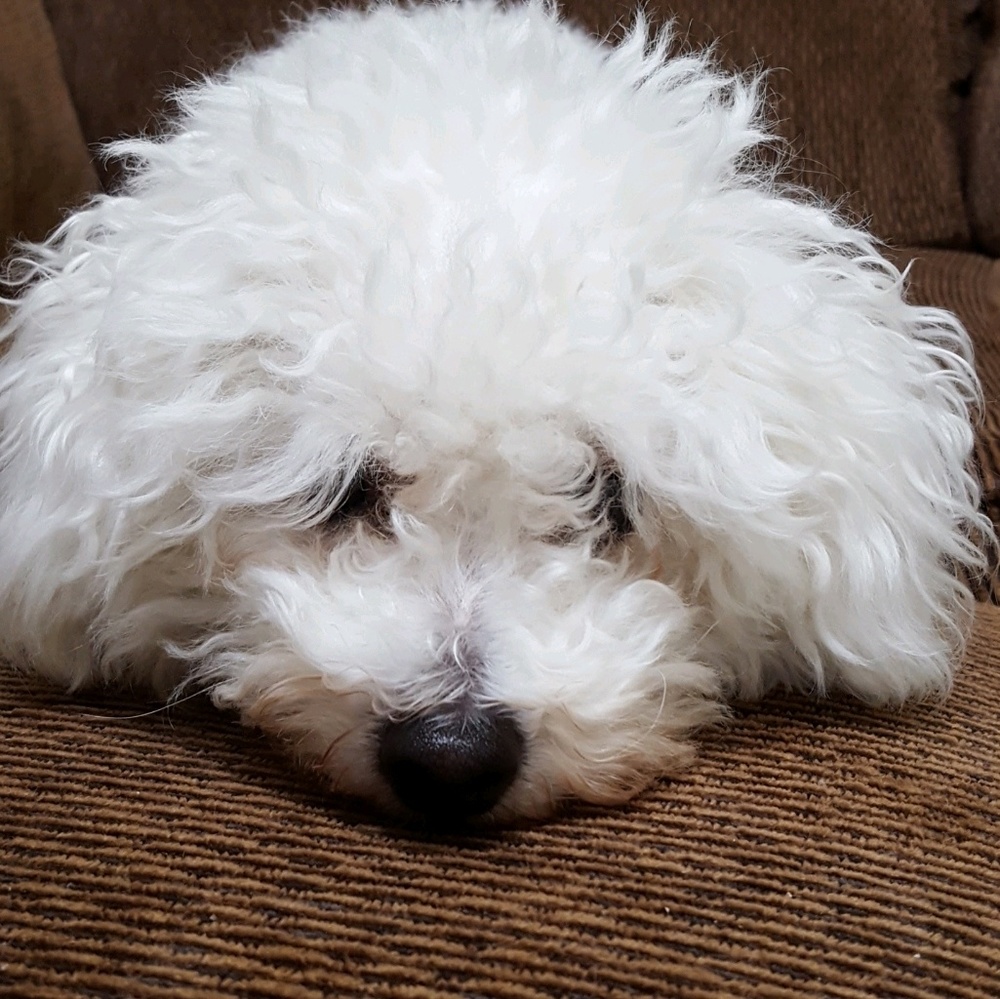 Meet your Posher, Laura