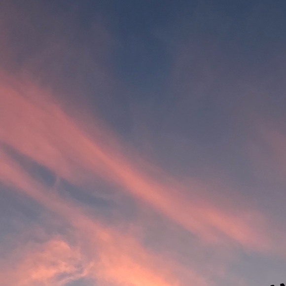 Meet your Posher, Ann - Picture 1 of 1