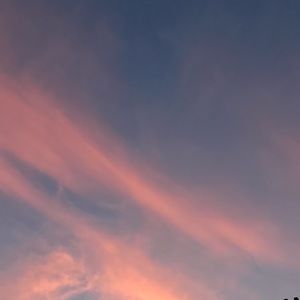 Meet your Posher, Ann