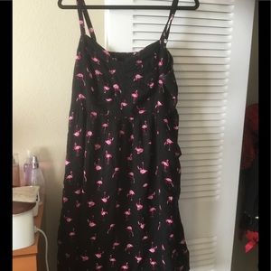 Torrid flamingo Sundress