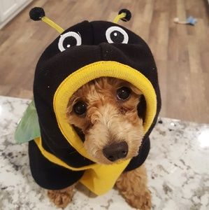 Meet your Posher, Jorge