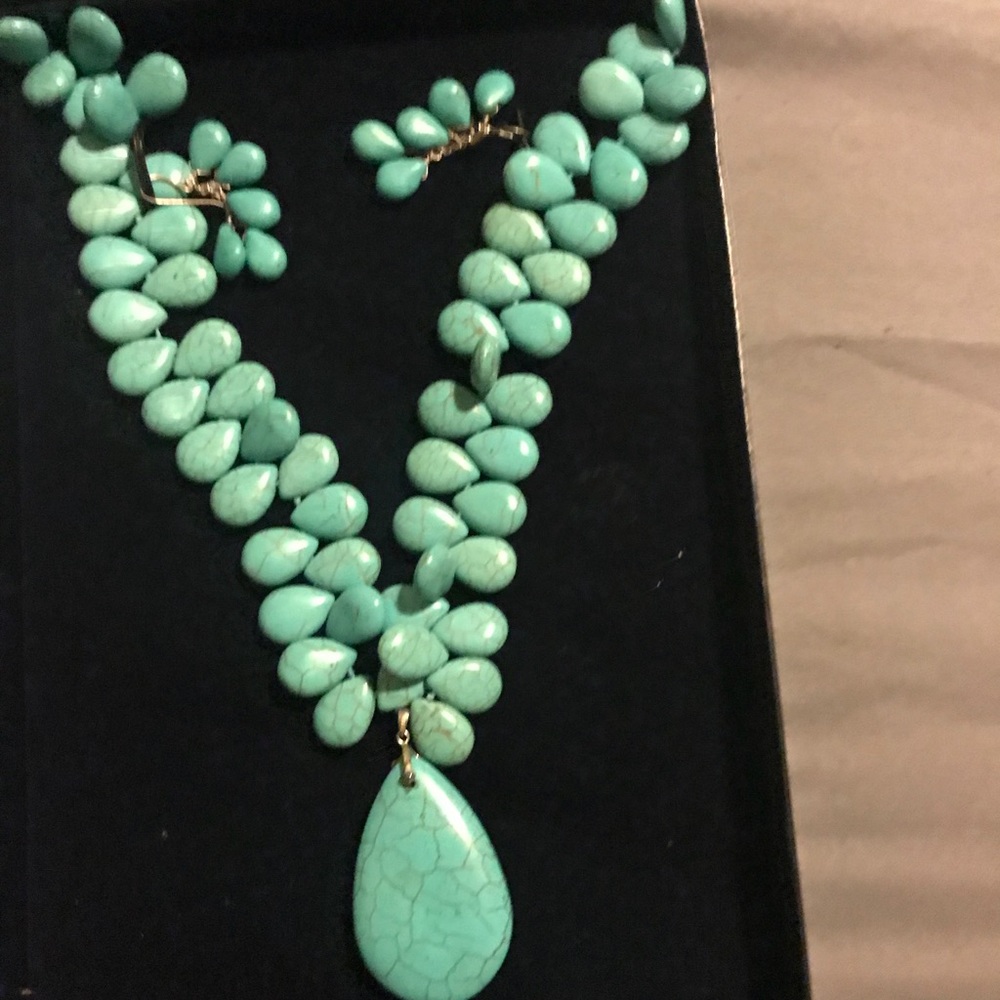 Stauer Earrings and Necklace Set
