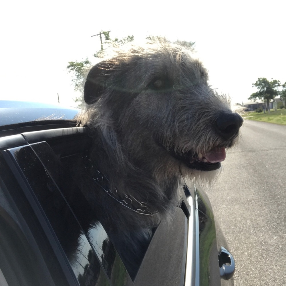 Meet your Posher, Vickie