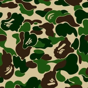 Meet your Posher, Jake