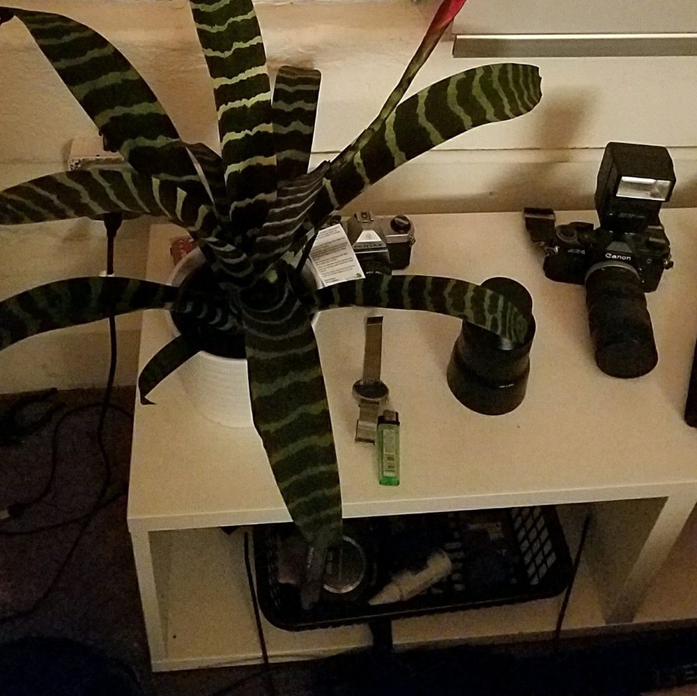 Meet your Posher, Bijan