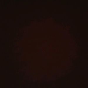 Meet your Posher, Kaylee