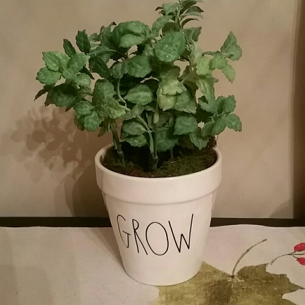 RAE DUNN GROW POT