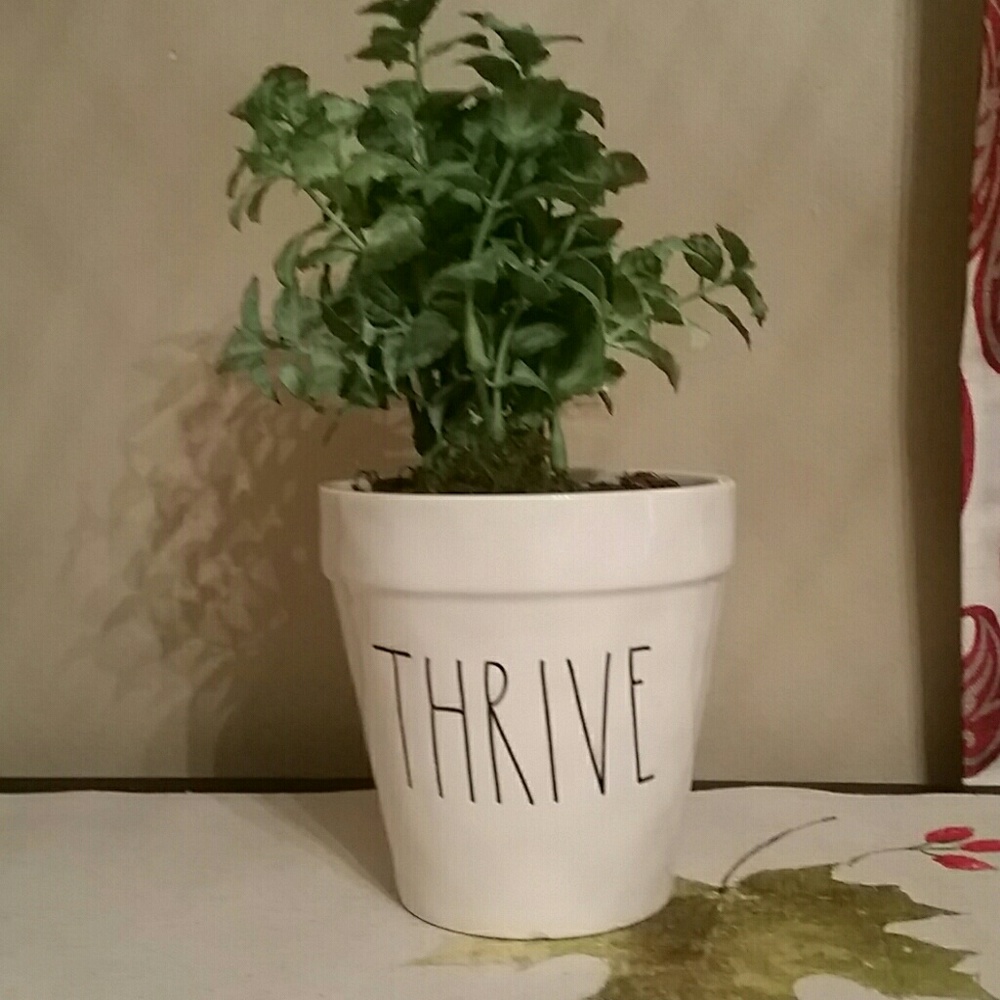 RAE DUNN THRIVE POT