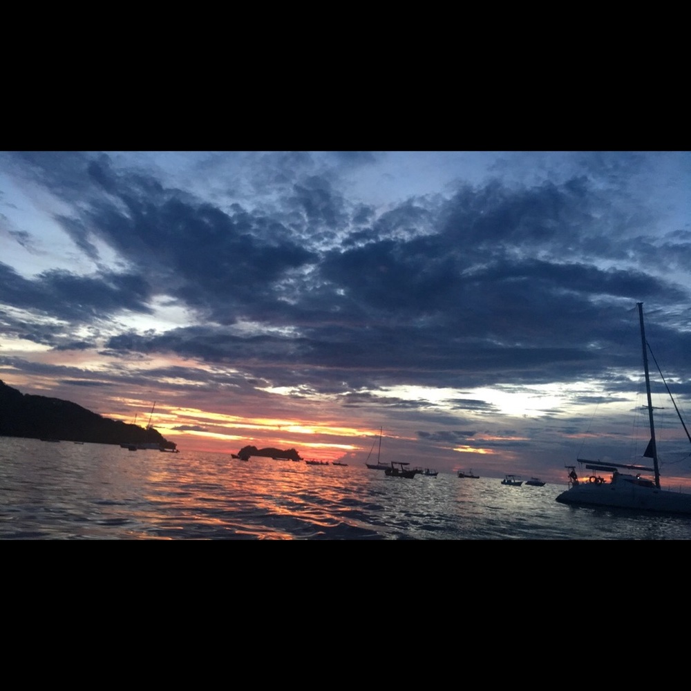 Meet your Posher, Millie