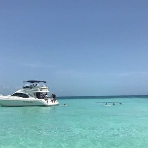 Meet your Posher, Sadie