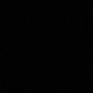 Meet your Posher, Brendan