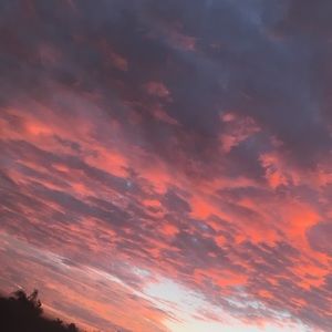 Meet your Posher, Srey