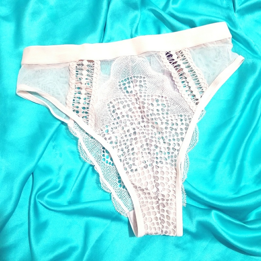NWT VS White Lace & Mesh High-leg Cheek