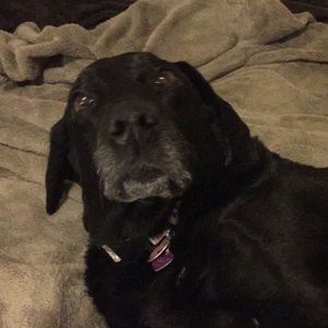 Meet your Posher, Julian