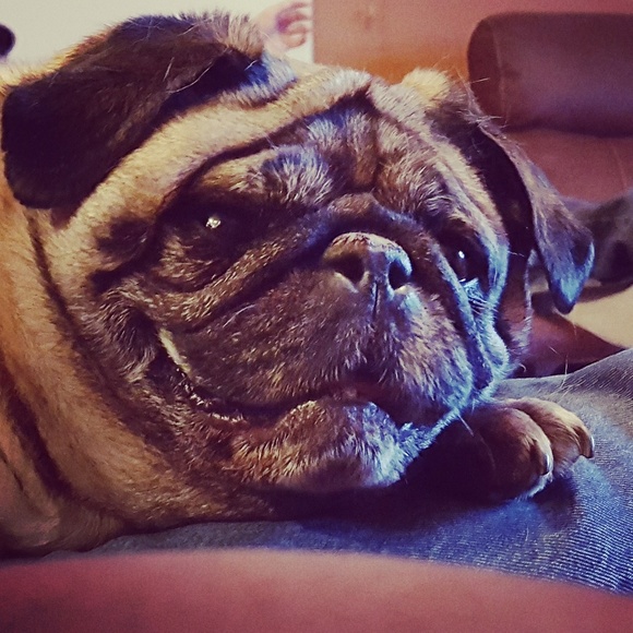 Meet your Posher, Aimee - Picture 2 of 8