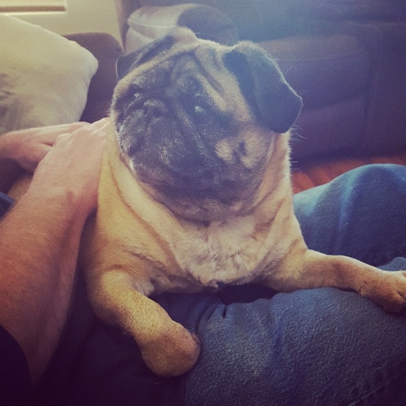 Meet your Posher, Aimee - Picture 3 of 8