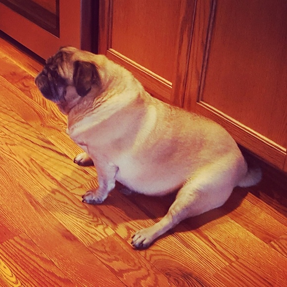 Meet your Posher, Aimee - Picture 4 of 8