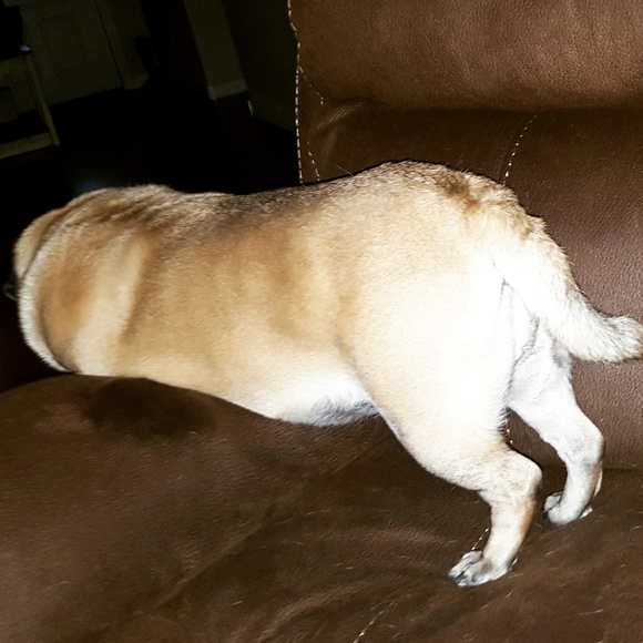 Meet your Posher, Aimee - Picture 5 of 8