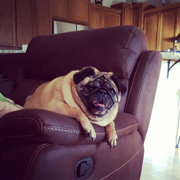 Meet your Posher, Aimee - Picture 7 of 8