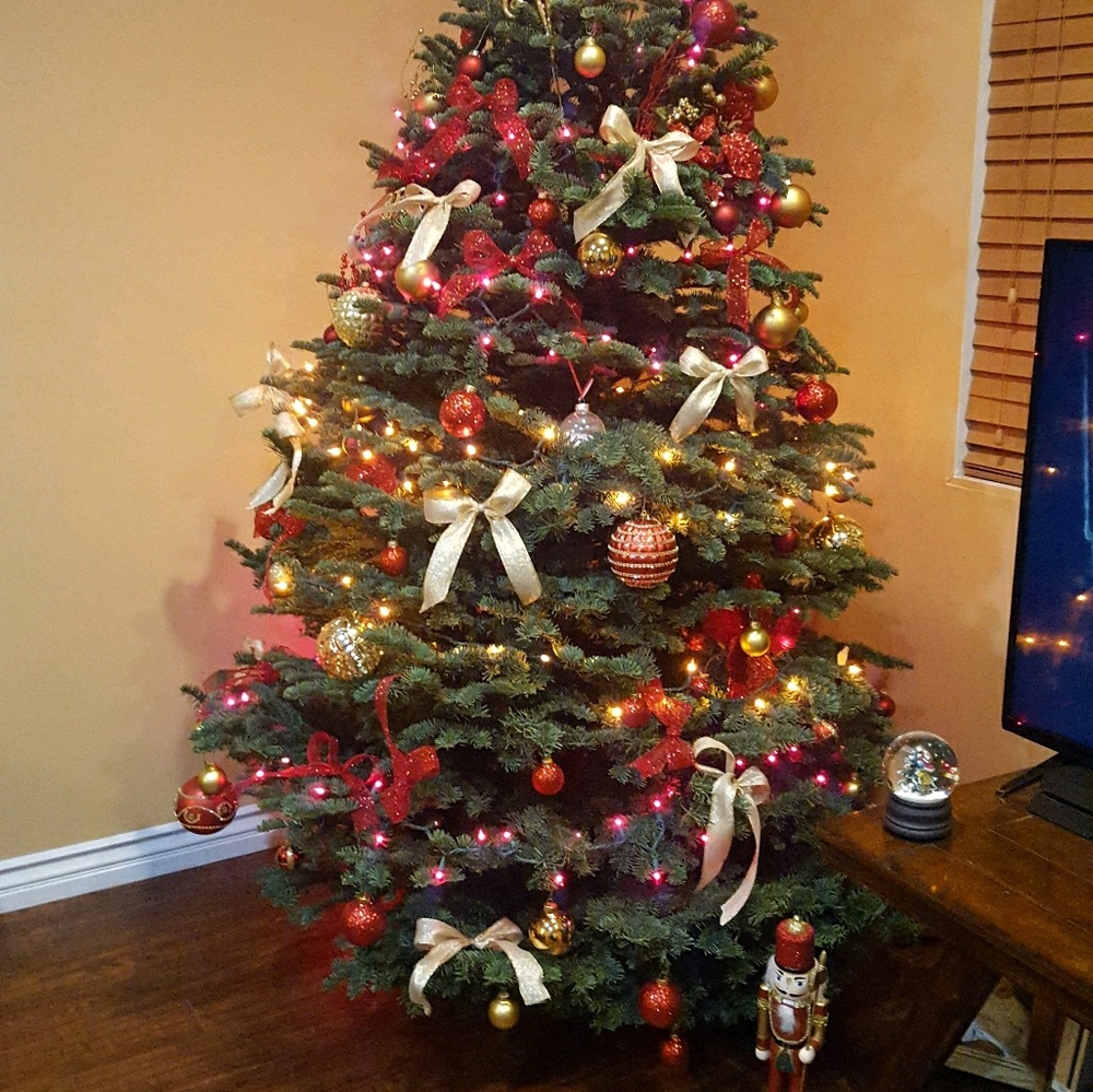 Meet your Posher, Nelly