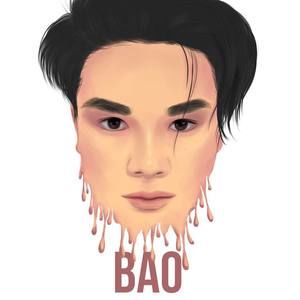 Meet your Posher, Bao