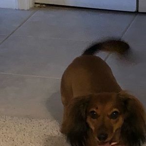 Meet your Posher, Michelle