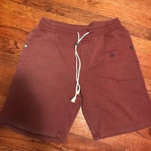 Eleven Paris Maroon Shorts (Medium)