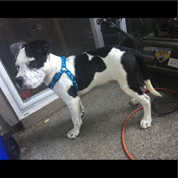 Meet your Posher, Kevin - Picture 1 of 1