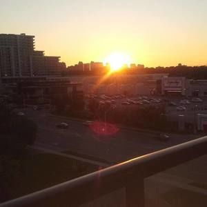 Meet your Posher, Terry