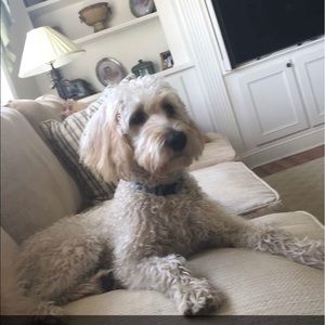 Meet your Posher, Billy