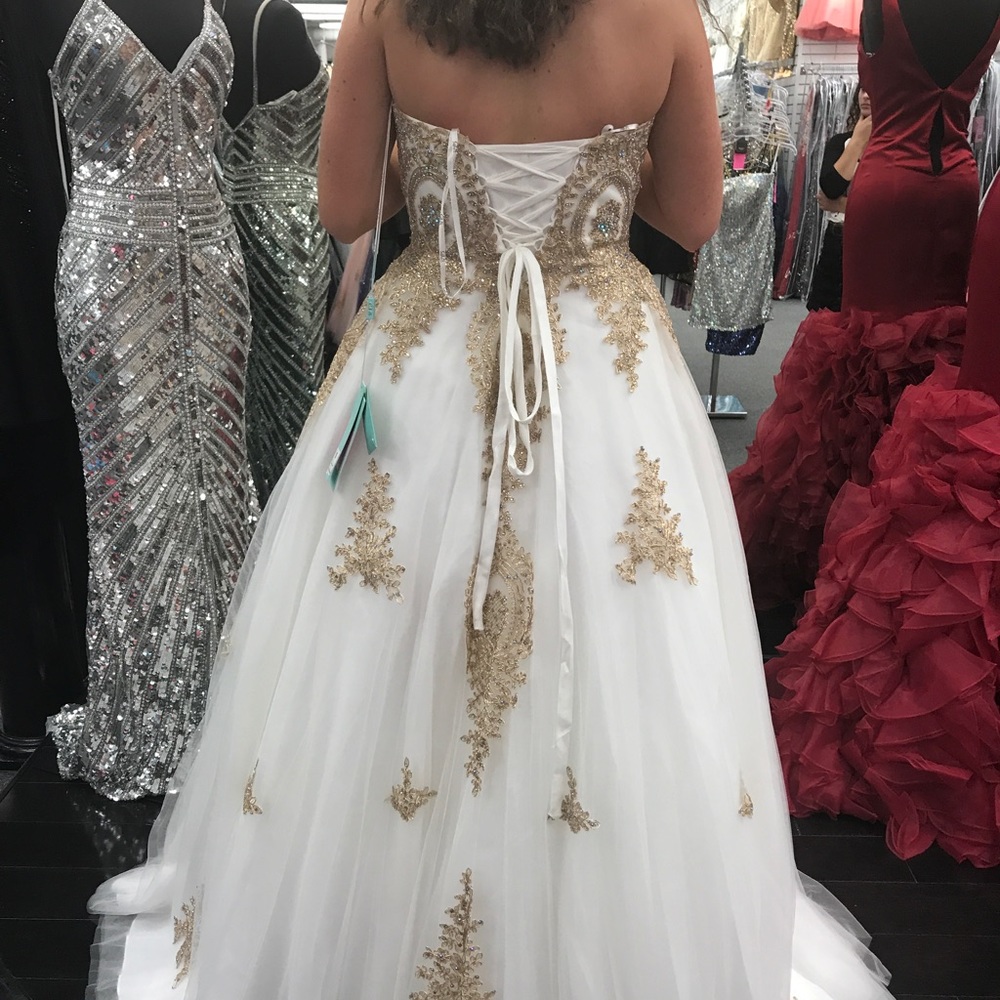 Gown worn once and dry cleaned