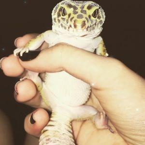 Meet your Posher, Haley