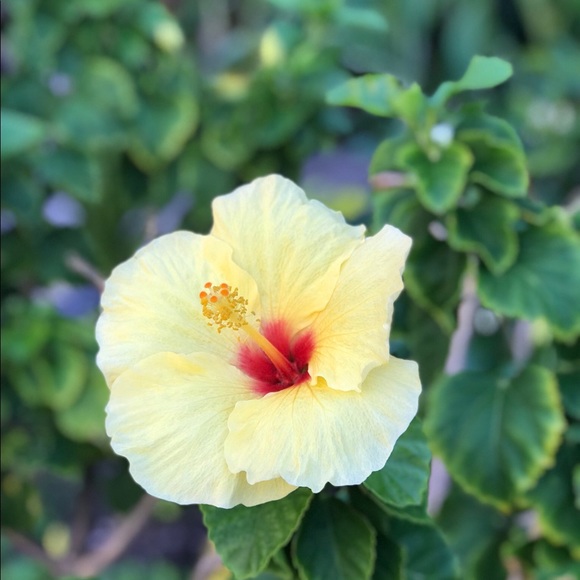 Meet your Posher, T - Picture 1 of 1