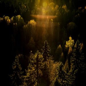 Meet your Posher, Joanna