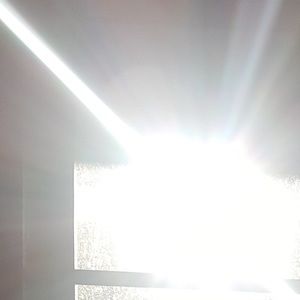 Meet your Posher, Zane